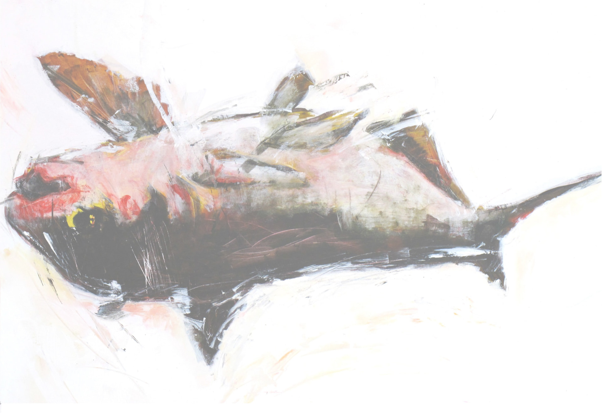 Fish Series (MaAhi) V, Acrylic on canvas, 2012