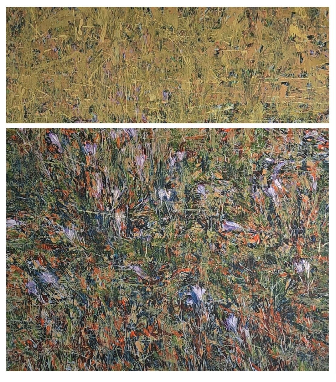نقاشی مجموعه حسرت اثر جلال‌الدین مشمولی - 280 × 310 cm، 2023 | Colchicum Series (Hasrat) No. 5, Acrylic on Canvas, 280 × 310 cm, 2023 — Jalaleddin Mashmooli Contemporary Iranian Painting